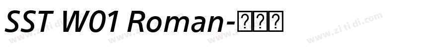 SST W01 Roman字体转换